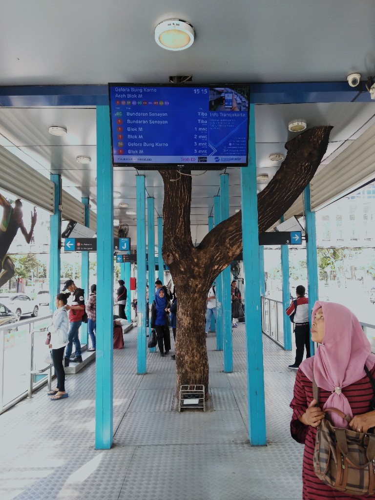 Pohon di tengah halte busway di depan GBK Jalan Sudirman Jakpus 