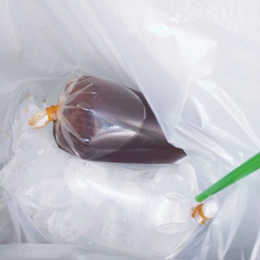 Gaya Asia Tenggara: Es dan teh dalam kantong plastik