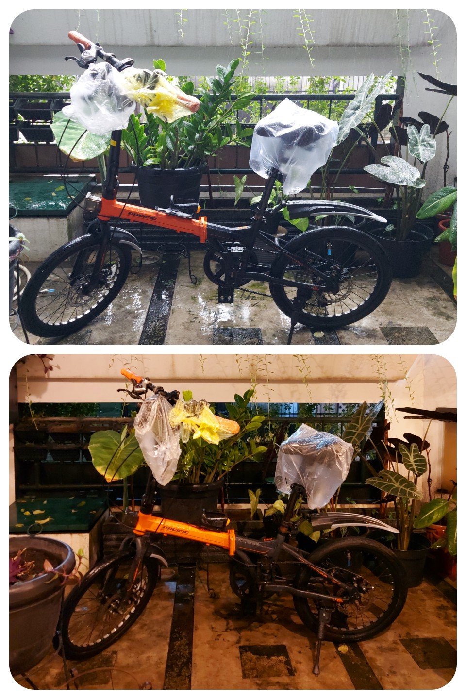 Memandikan sepeda lipat dengan guyuran air hujan