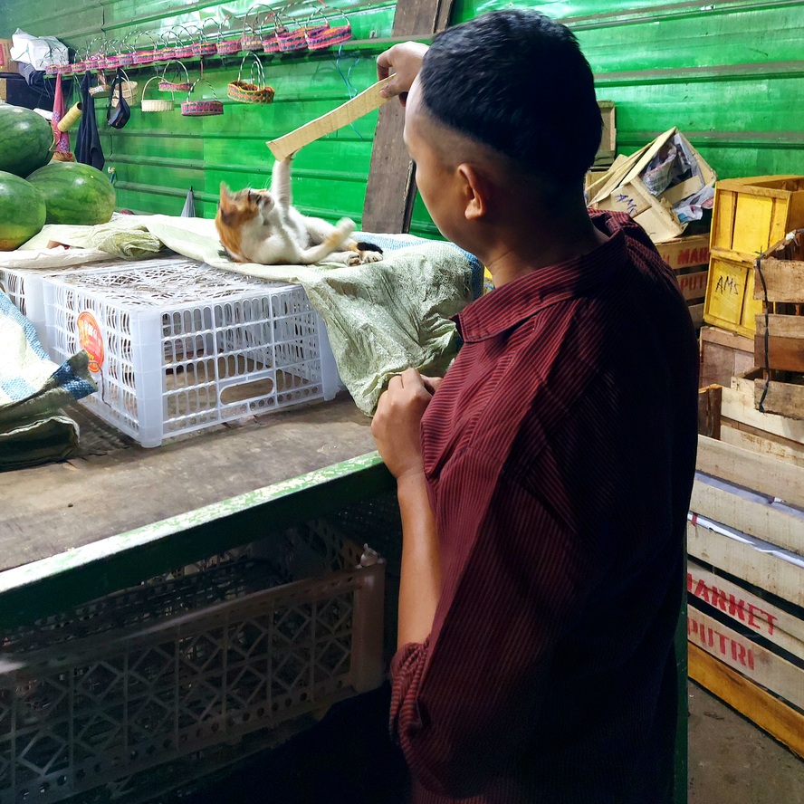 Penjual kelapa muda bercanda dengan kucing tetangga saat warungnya sepi 