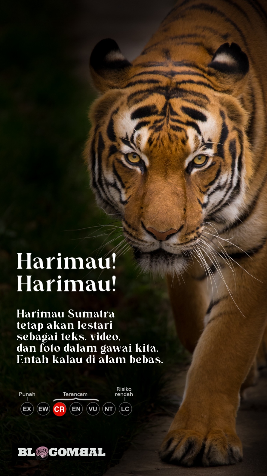 Mari kita basmi harimau sumatra karena manusia adalah penguasa alam