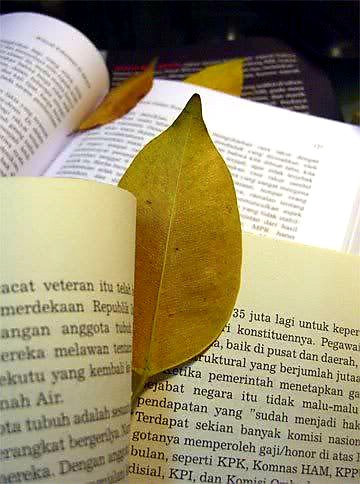 Cara kuno: daun sebagainya pembahasan buku 