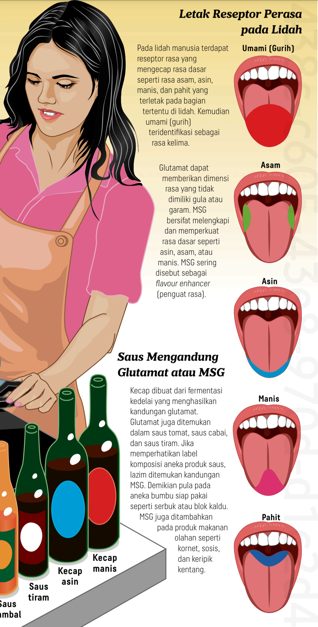 Bagian lidah yang mencecap rasa vetsin MSG