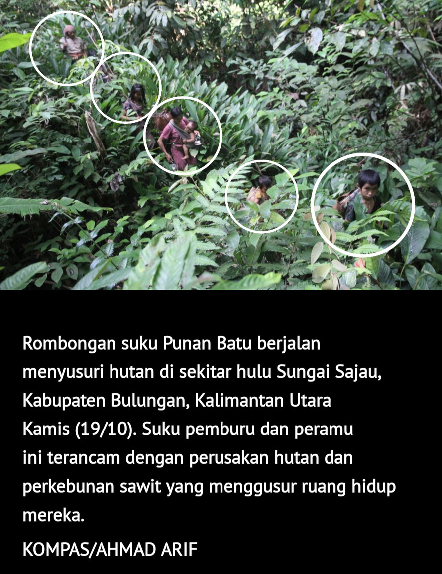 Kehidupan orang Punan Batu di Kalimantan Utara