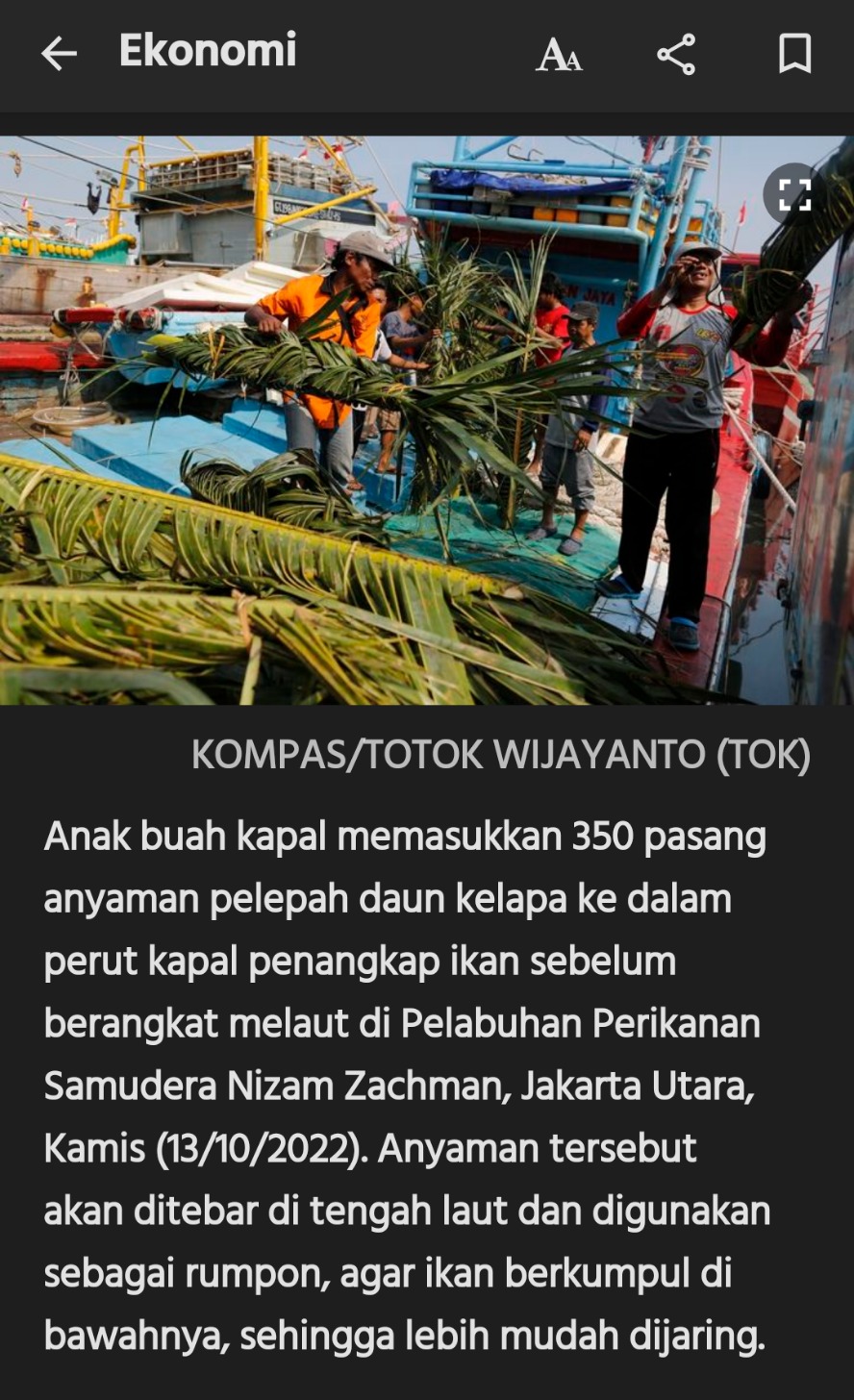 Alasan nelayan membawa belarak hijau ke laut