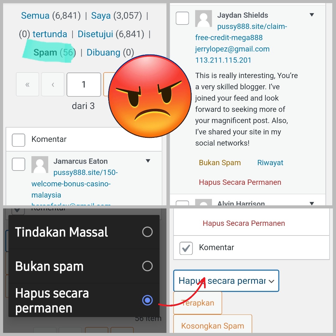 Masalah spam dalam blog WordPress 