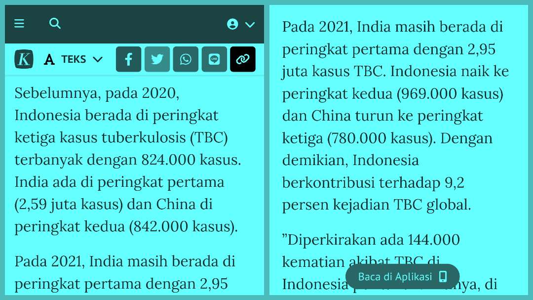 TBC Indonesia nomor 2 di dunia, 16 orang mati per jam