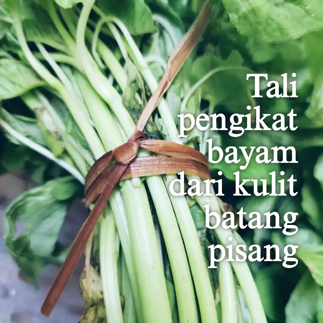 Tali dari gedebok pisang untuk mengikat daun bayam